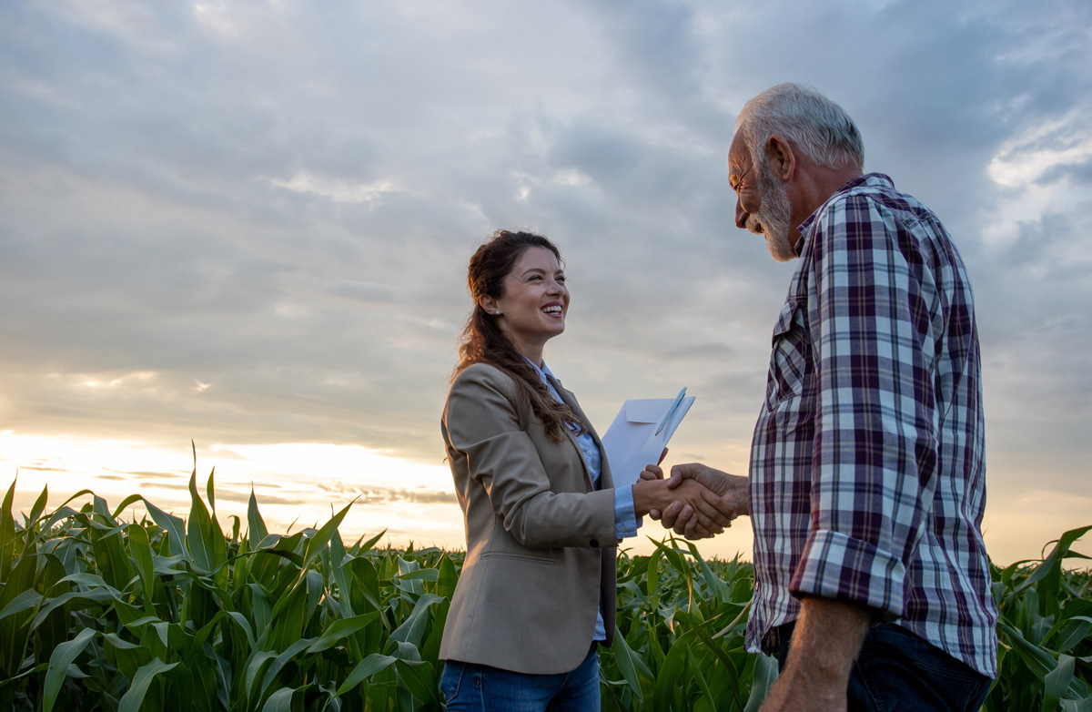 business sale of a farm
